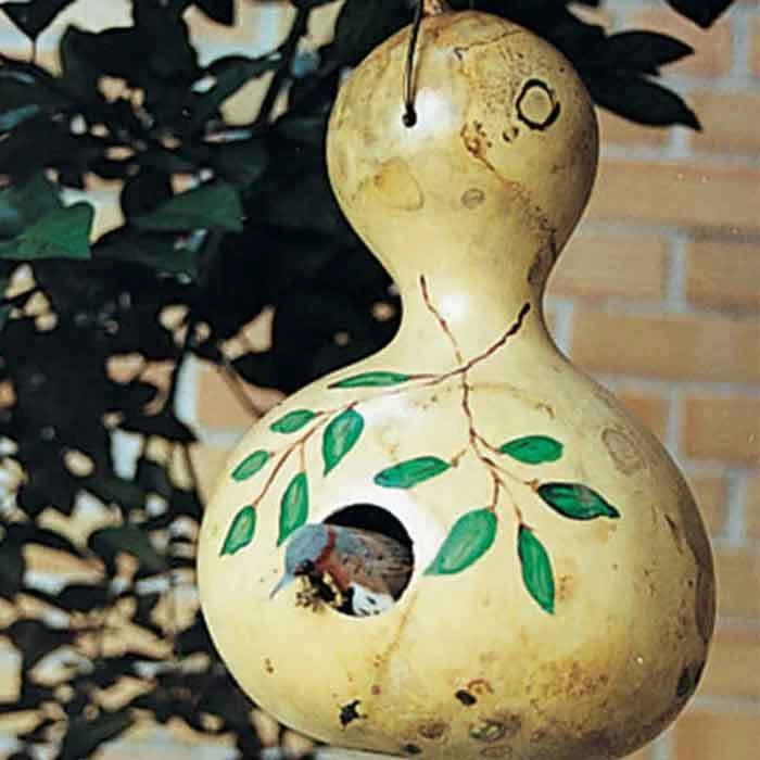 Bird House Gourds 1 Bird House Gourds