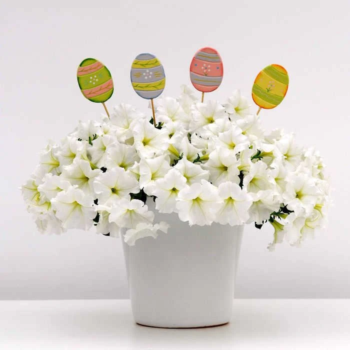 White Easy Wave® Hybrid Petunia 1 White Easy Wave® Hybrid Petunia