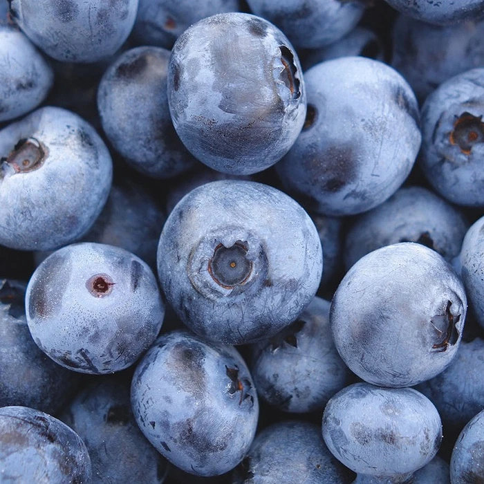 Northern Blueberry Offer #1 1 Northern Blueberry Offer #1