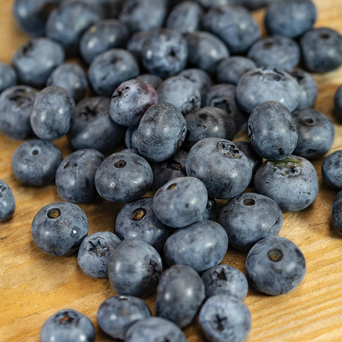 Duke Blueberry 1 Duke Blueberry