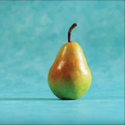 Potomac Dwarf Pear Tree