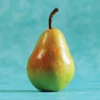 Potomac Standard Pear