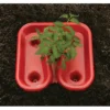 Red Tomato Tray (3 Trays)