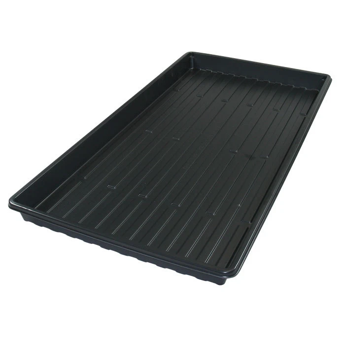 Black Germination Flat 1 Black Germination Flat