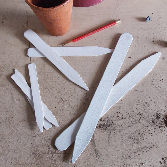 Wooden Labels (8 Inch) 1 Wooden Labels (8 Inch)