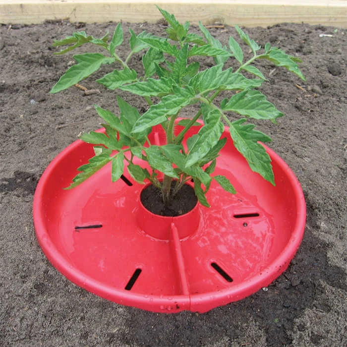 Tomato Crater 3 Count 1 Tomato Crater 3 Count