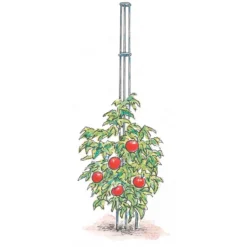 Tomato Tower