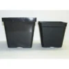 3.5 Inch Standard Square Pot