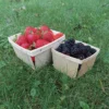 Quart Wooden Berry Boxes